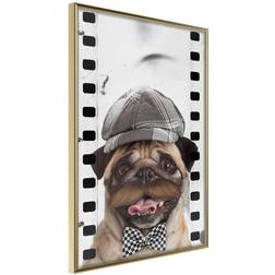 Arkiio Affisch Pug In Hat [Poster] 20x30 Poster